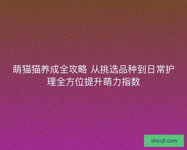 萌猫猫养成全攻略 从挑选品种到日常护理全方位提升萌力指数